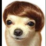 Pepper_Brooks_Reincarnate